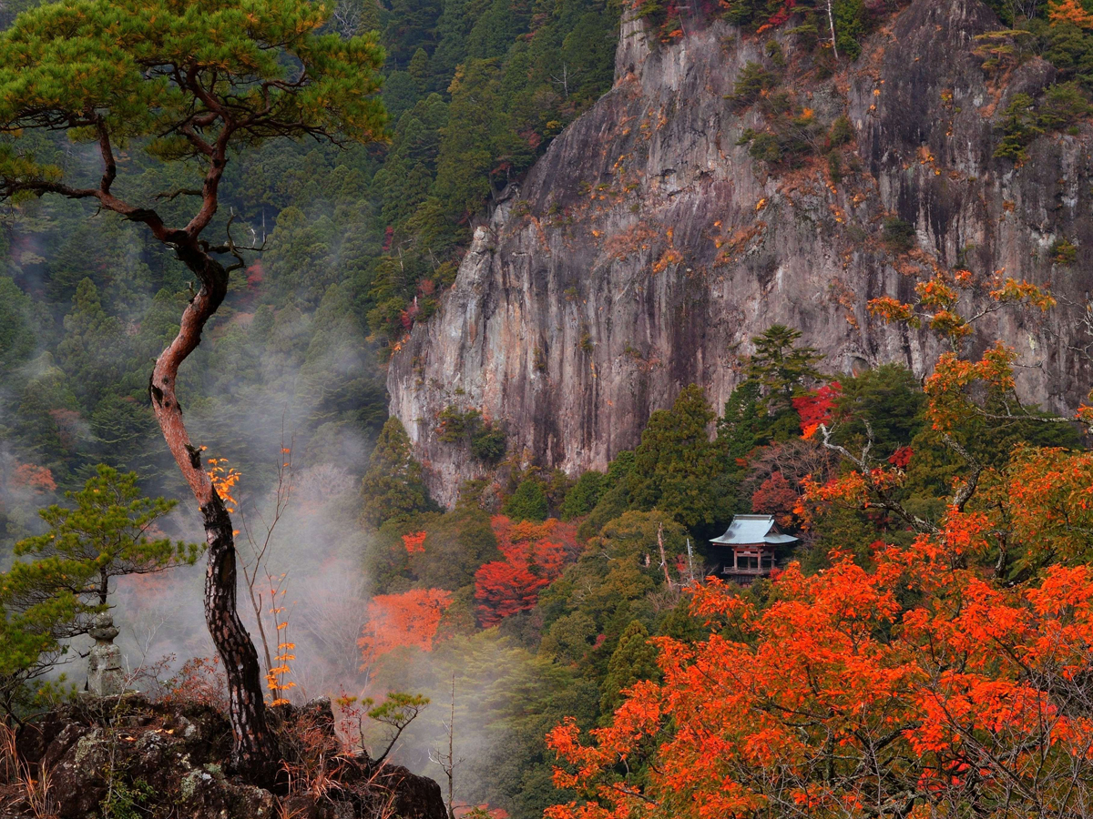 山全体が国の名勝・天然記念物に指定されている鳳来寺山